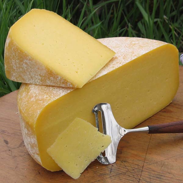artisan cheese durango